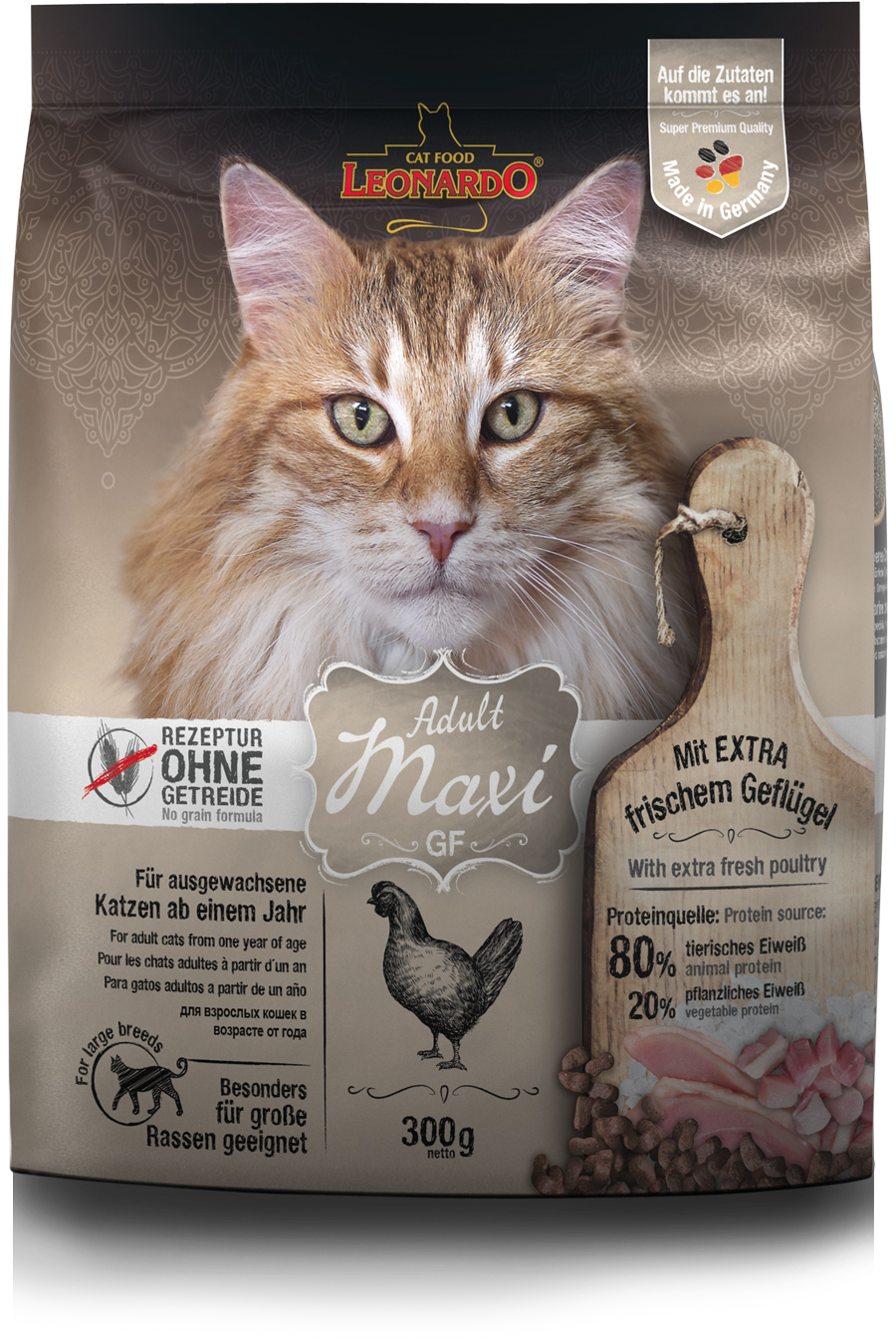 beyond kitten food